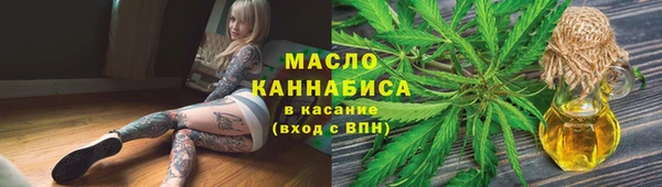 2c-b Ельня