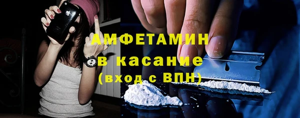 прущие грибы Елабуга