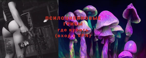 ешки Елизово