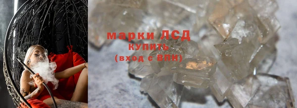 прущие грибы Елабуга