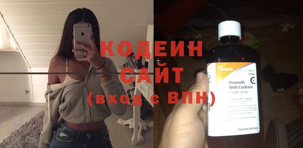 прущие грибы Елабуга