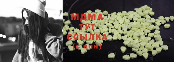 прущие грибы Елабуга