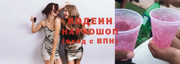 2c-b Ельня