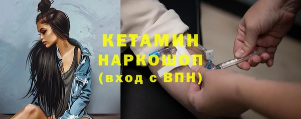 прущие грибы Елабуга