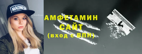 прущие грибы Елабуга