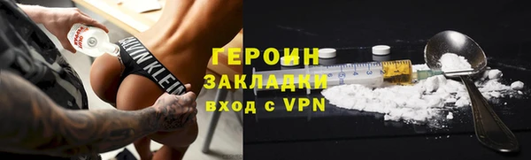 прущие грибы Елабуга