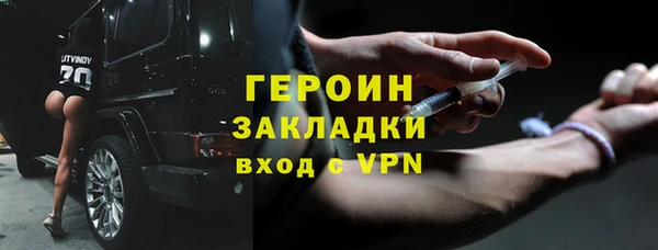прущие грибы Елабуга