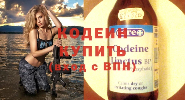 прущие грибы Елабуга