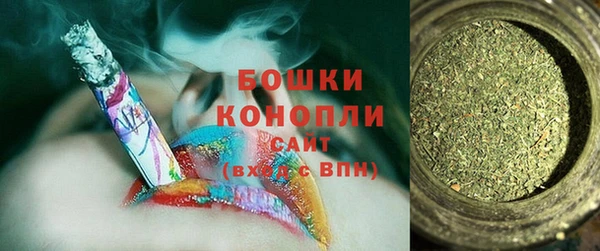 прущие грибы Елабуга