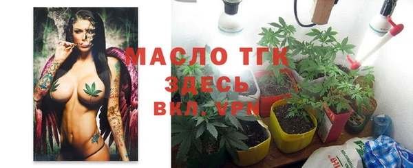 2c-b Ельня