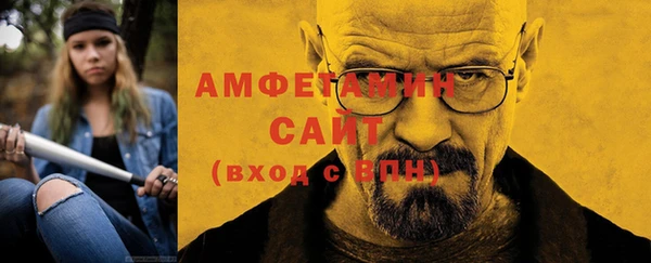 прущие грибы Елабуга