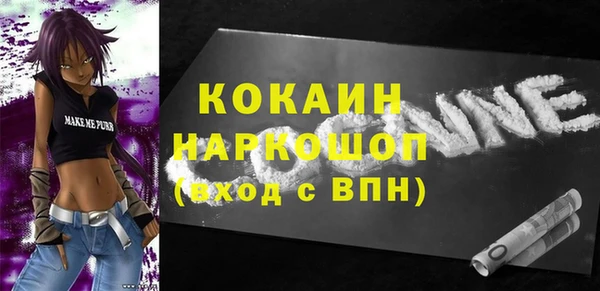 прущие грибы Елабуга