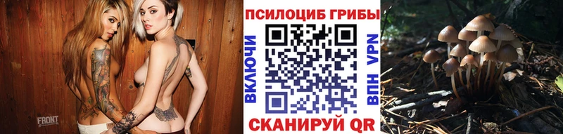 Купить где  Нижний Ломов  Галлюциногенные грибы Cubensis 